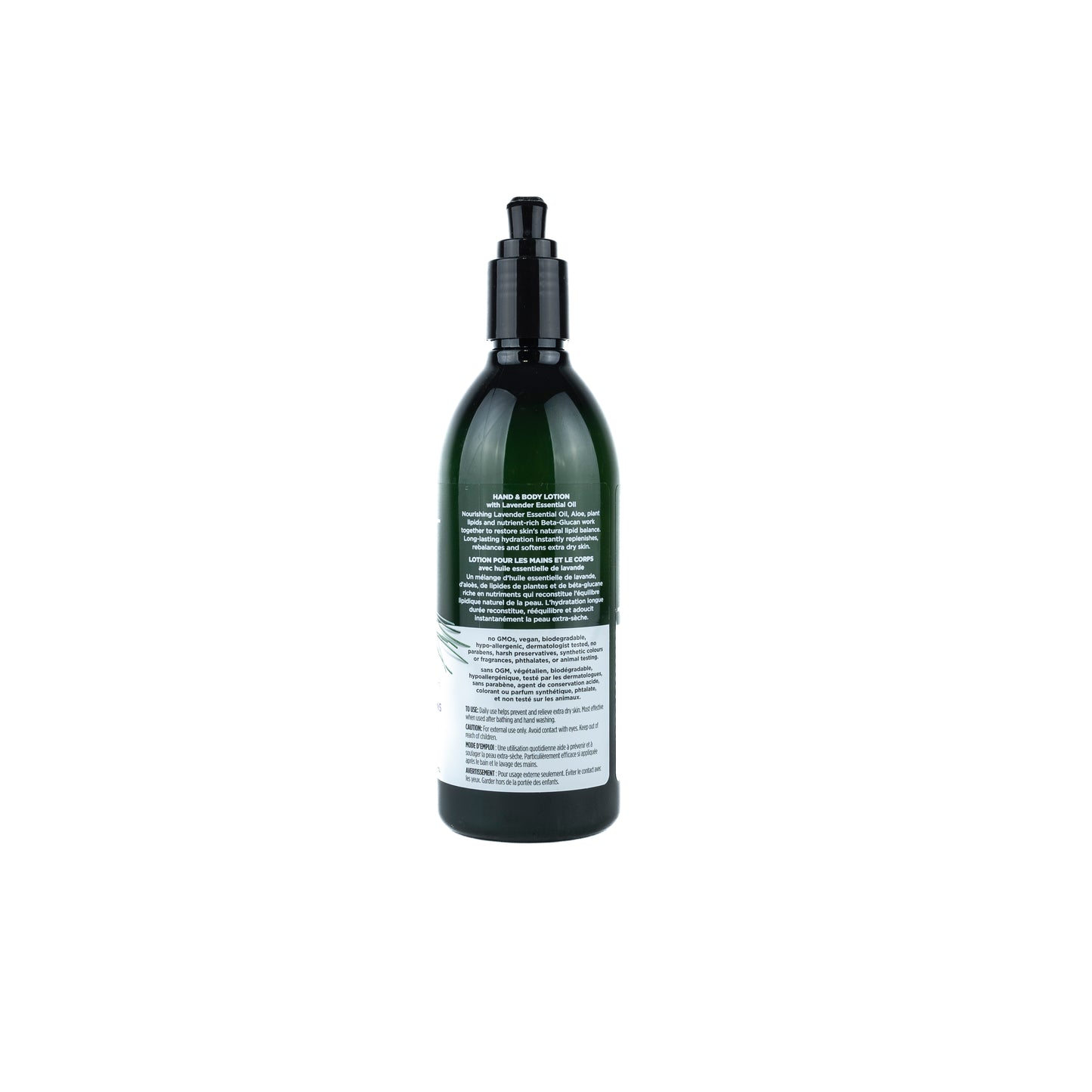 Hand & Body Lotion