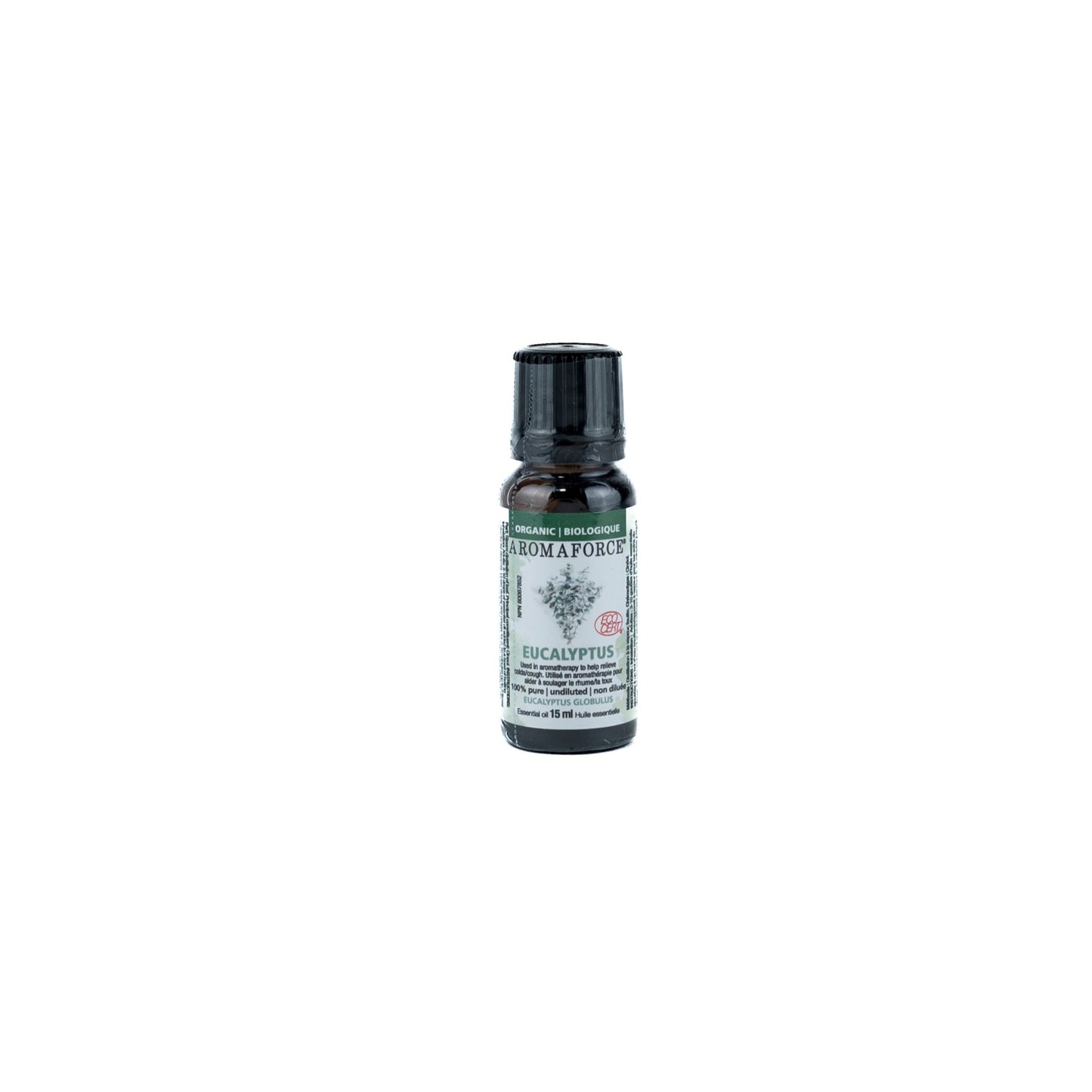 Eucalyptus (15ml)
