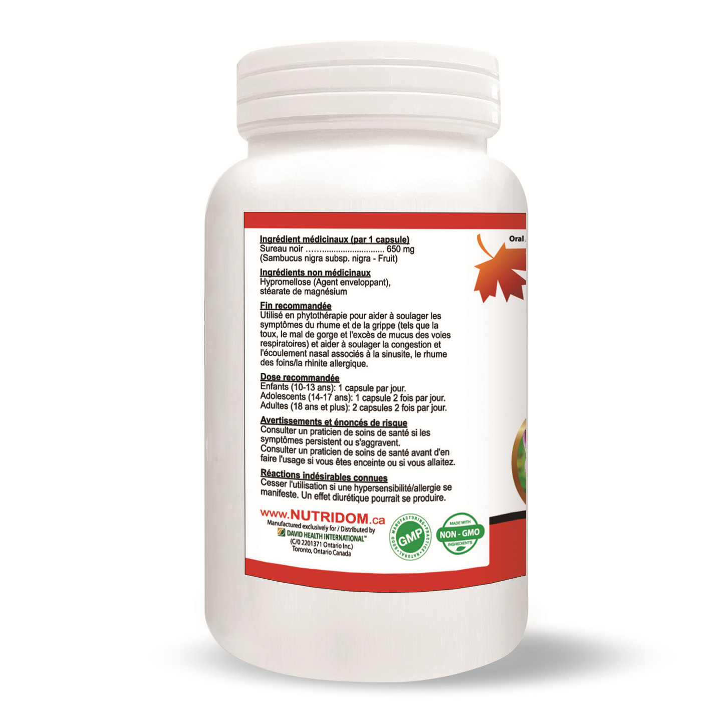 Black Elderberry Extract 650mg (120 Veggie Capsules)